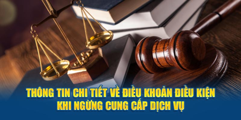  Thông tin chi tiết về điều khoản điều kiện khi ngừng cung cấp dịch vụ